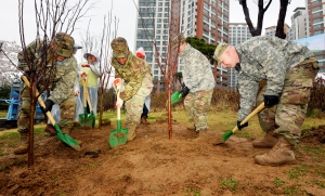 용산구 제 73회 나무심기 행사