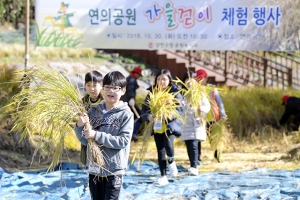 '가을걷이 벼베기 체험 행사'