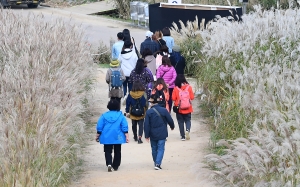 서울 억새축제 개막