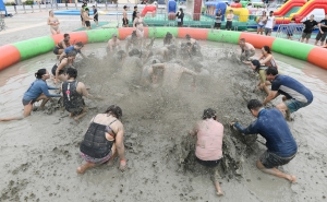 보령 머드축제