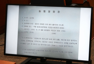 법사위 국정감사 출석한 심우정 검찰총장