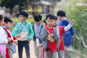 하늘공원 억새밭 스케치