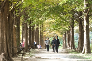 가을 스케치