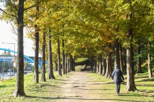 가을 스케치