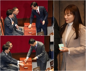 사진