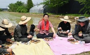 사진